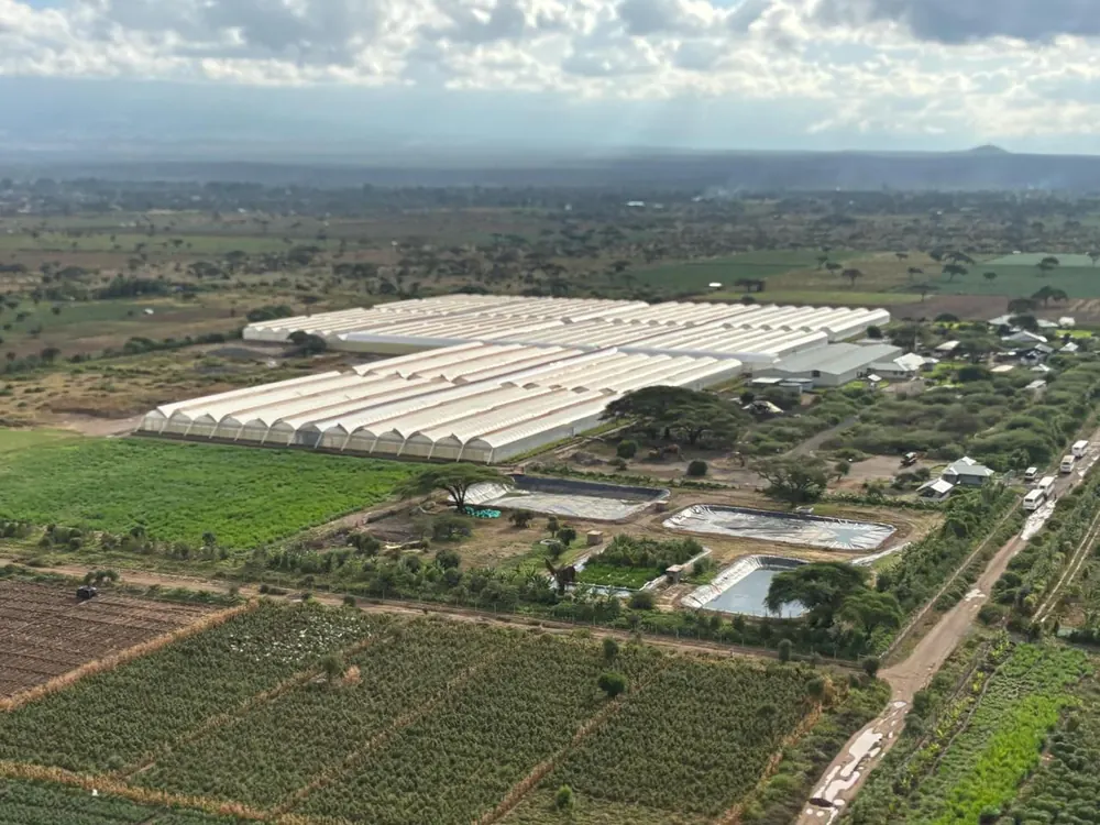 Aerial view of the Oltepesi Plants greenhouses in Kenya